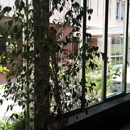Coppolamyhouse