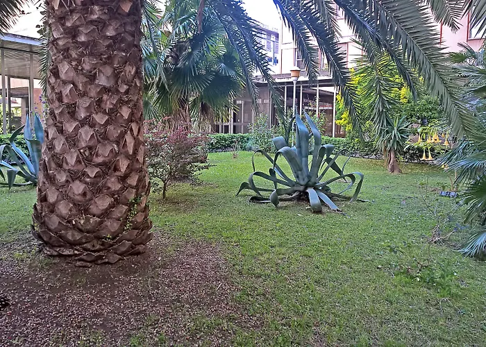 Coppolamyhouse 4*