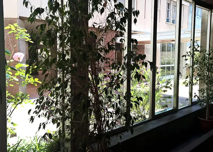Coppolamyhouse